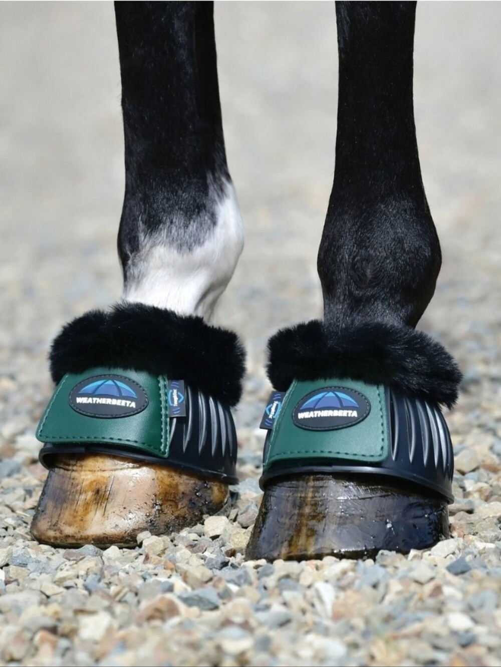 WeatherBeeta Tough-Tec Prime Fleece Trim Rubber Bell Horse Boots Size Large